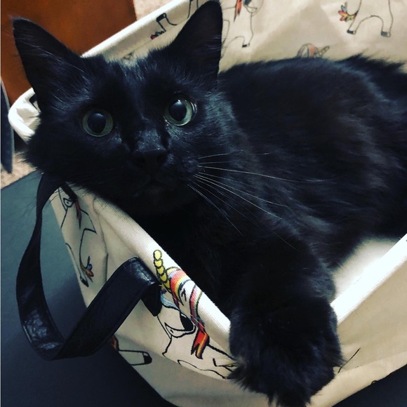 Hi, I’m Jenny! - Picture 15 of 16